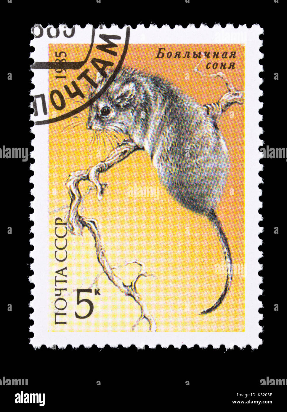 Briefmarke aus der Sowjetunion, die Wüste Siebenschläfer (Selevinia betpakdalaensis) Stockfoto