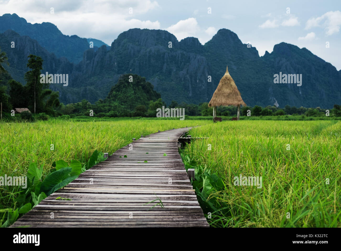 Landschaft angelegten, Holz- Weg in grüne Reisfelder in Vang Vieng, Laos Stockfoto