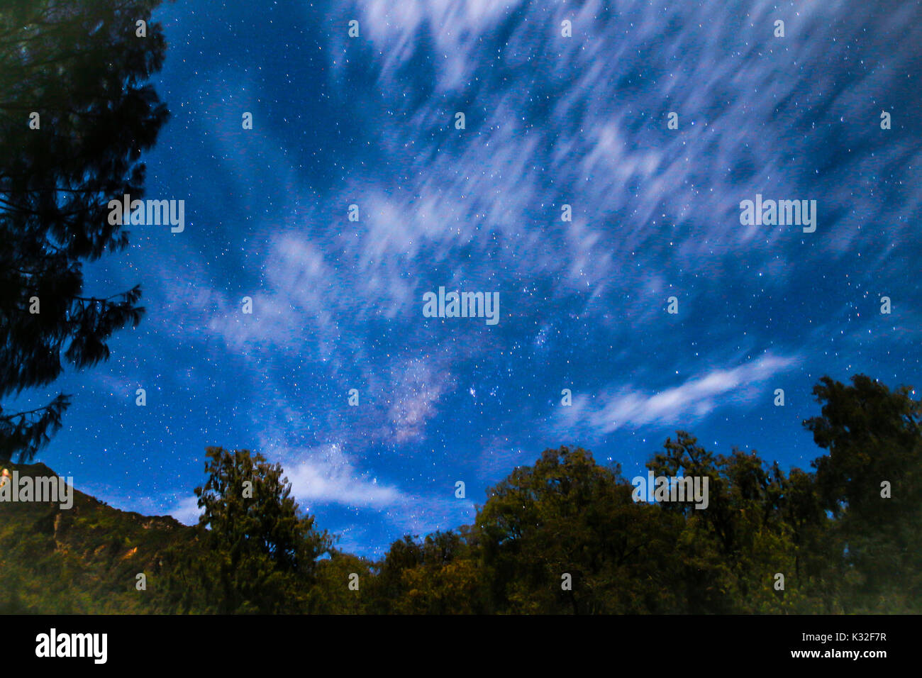 Milkyway Wanderwege mit Blick auf Cloud vor ihr, in Arjuno Berg, Insel Java, Indonesien. Stockfoto