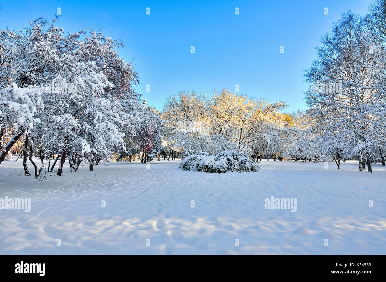 Märchen von winter natur - malerische Landschaft von Winter City Park am sonnigen Tag Stockfoto