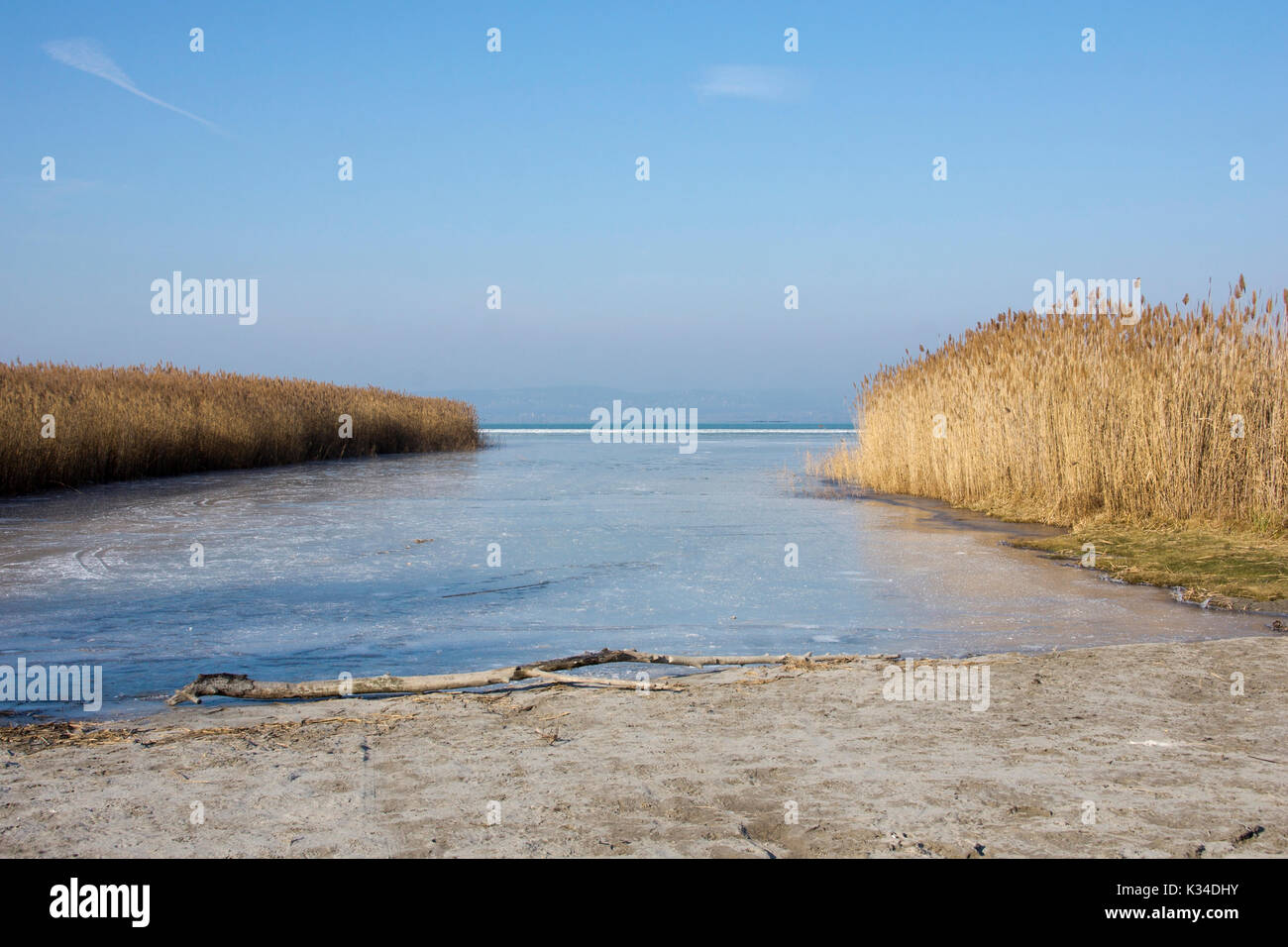 Balaton in Ungarn von Reed im Winter mit Schnee und Eis und ein blauer Himmel umgeben Stockfoto