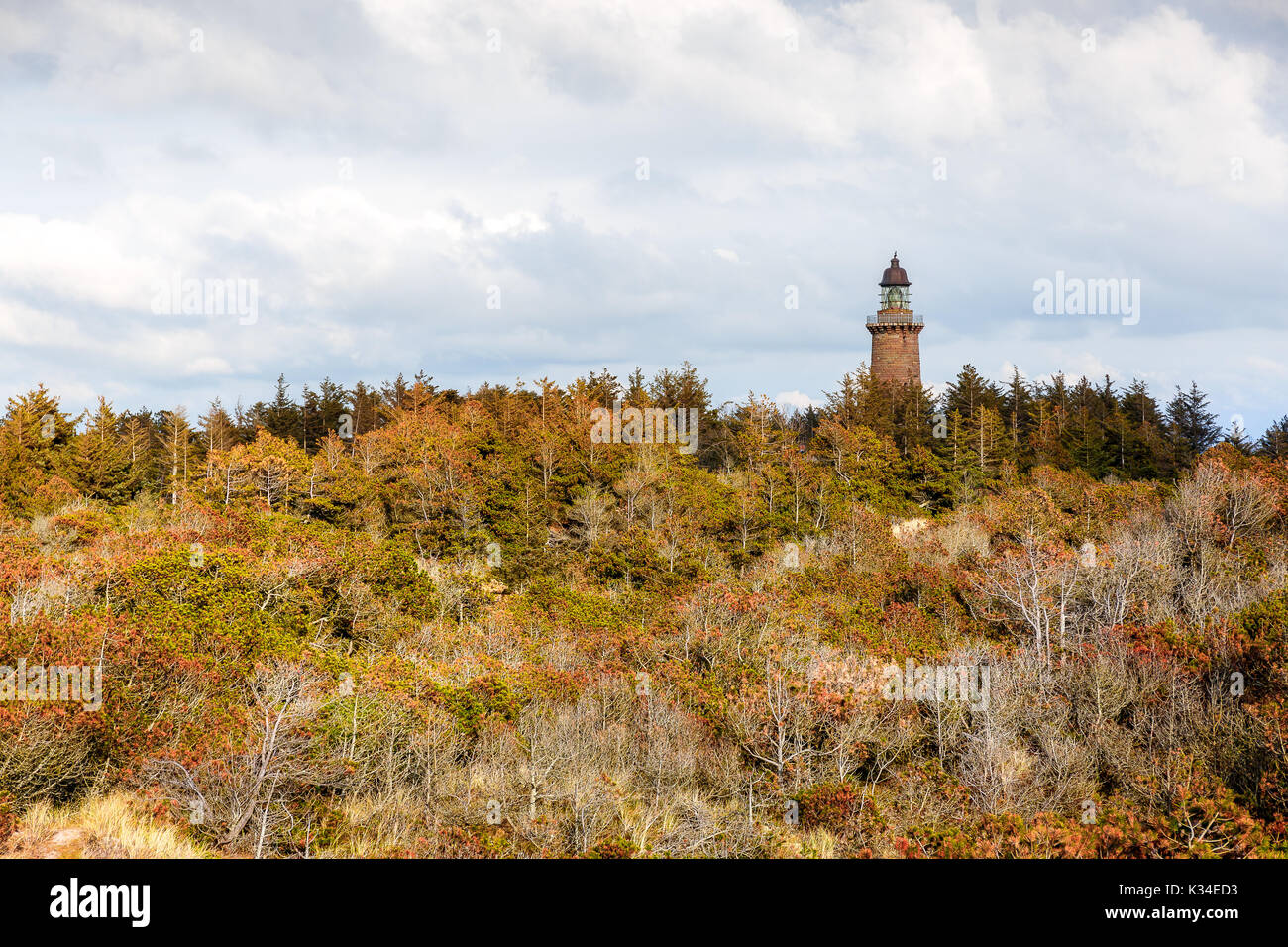 Der Leuchtturm Lodberg Fyr in der Nähe der Agger Dänemark wurde in einem Wald in der Nähe der Küste gebaut Stockfoto