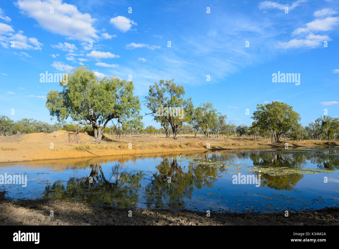Billabong in der Savanne bei Einasleigh, Atherton Tablelands, Queensland, QLD, Australien Stockfoto