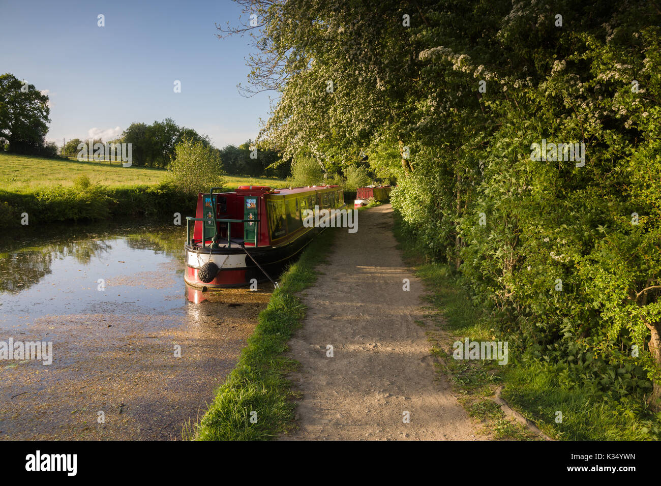 Einen späten Sommernachmittag auf dem 200 Jahre alten Shropshire Union Canal in England mit traditionellen britischen 15-04 Stockfoto