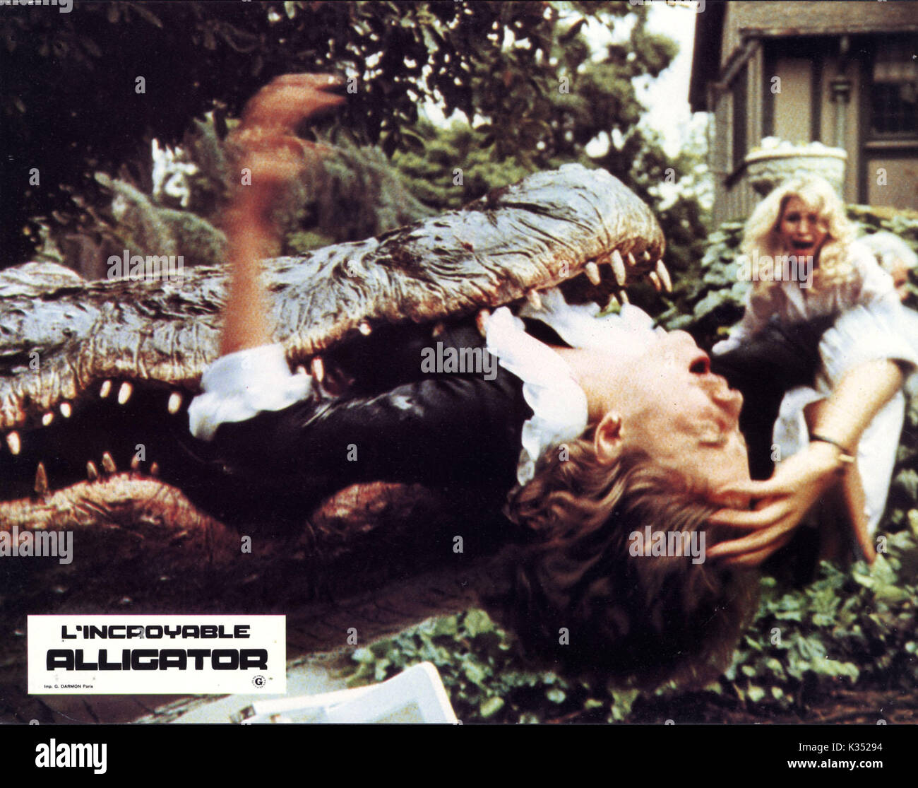 ALLIGATOR Datum: 1980 Stockfoto