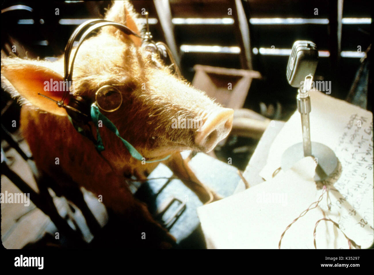 ANIMAL FARM Datum: 1999 Stockfoto