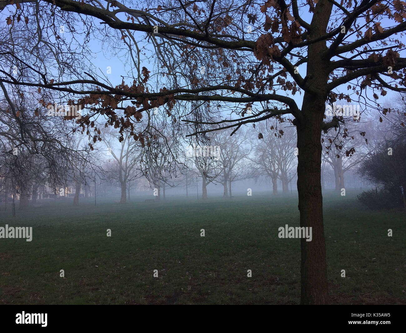 Foto muss Gutgeschrieben © Alpha Presse 066465 28/12/2016 Nebel in Highbury Felder nördlich von London. Stockfoto
