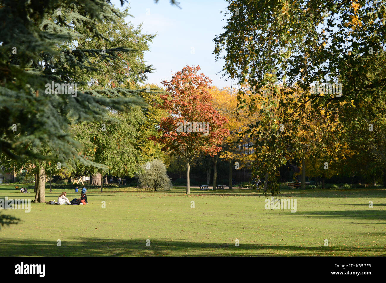 Park in London. Stockfoto