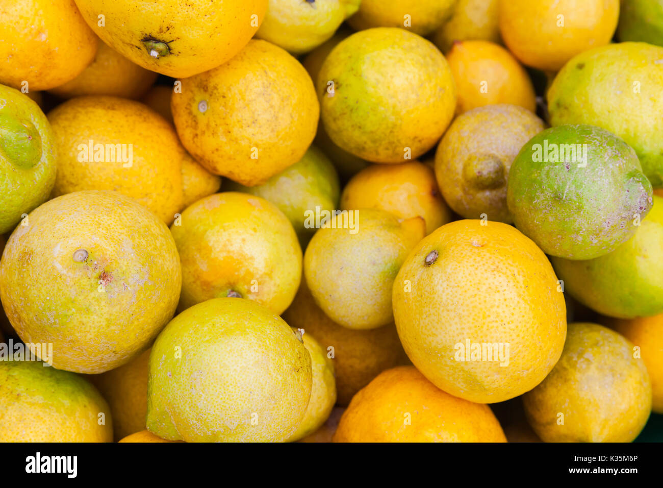 Frische Zitronen lag auf der Theke der Street Food Markt auf der Insel Madeira, Portugal. Nahaufnahme mit selektiven Fokus Stockfoto