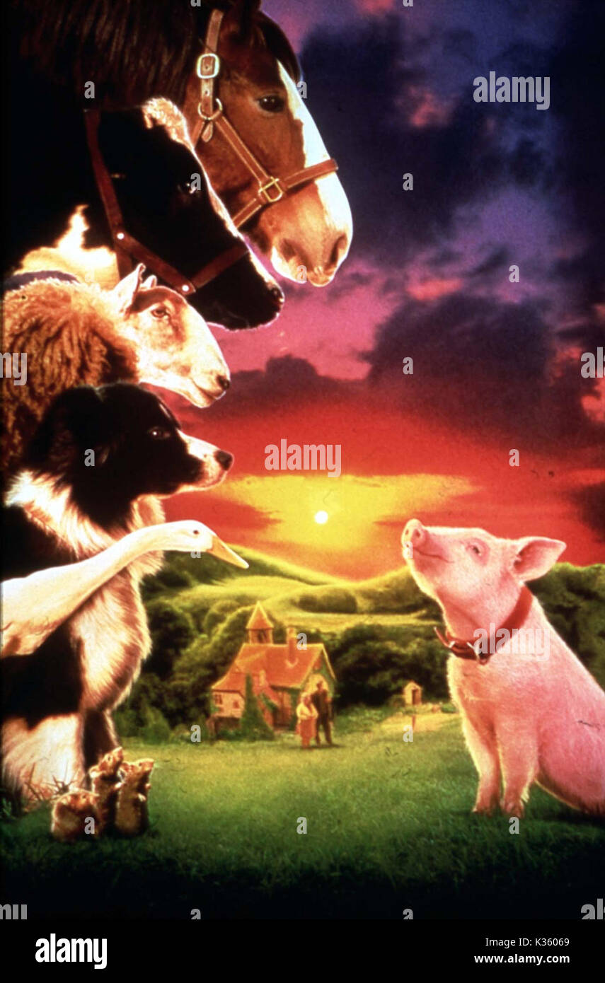 BABE DIE GALLANT PIG Datum: 1995 Stockfoto