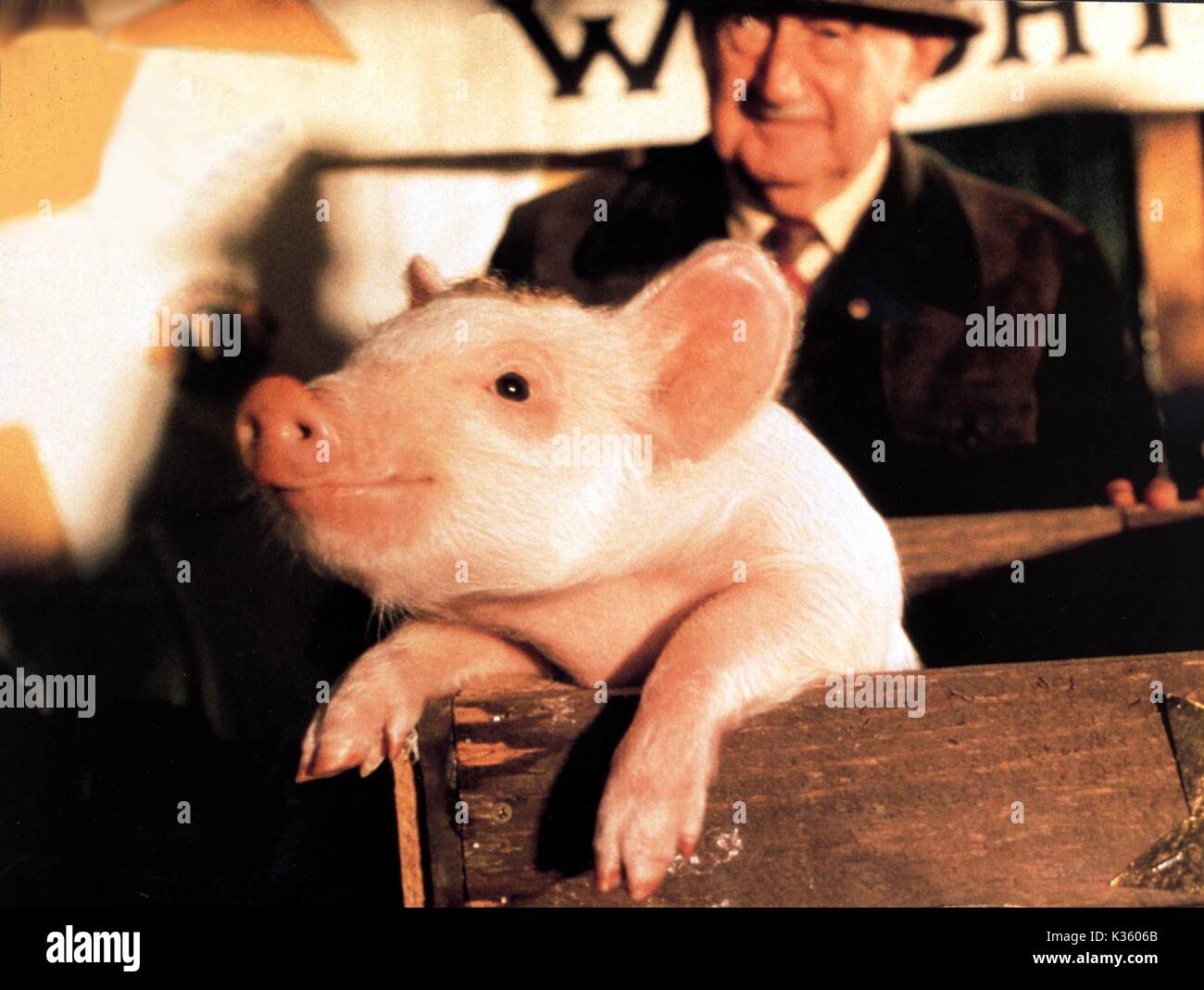 BABE DIE GALLANT PIG Datum: 1995 Stockfoto