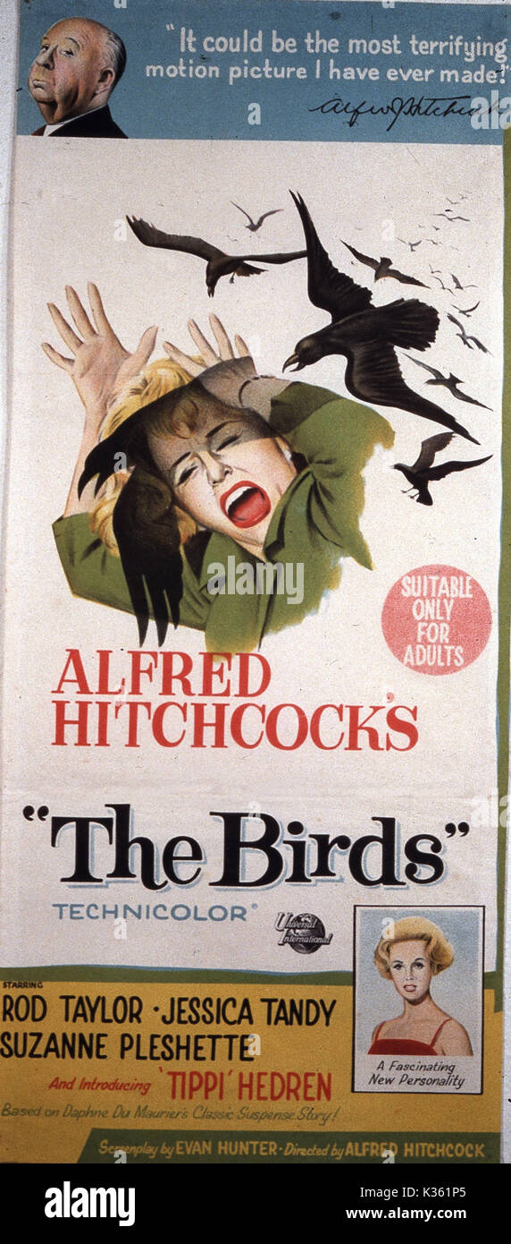 Die Vögel Datum: 1963 Stockfoto