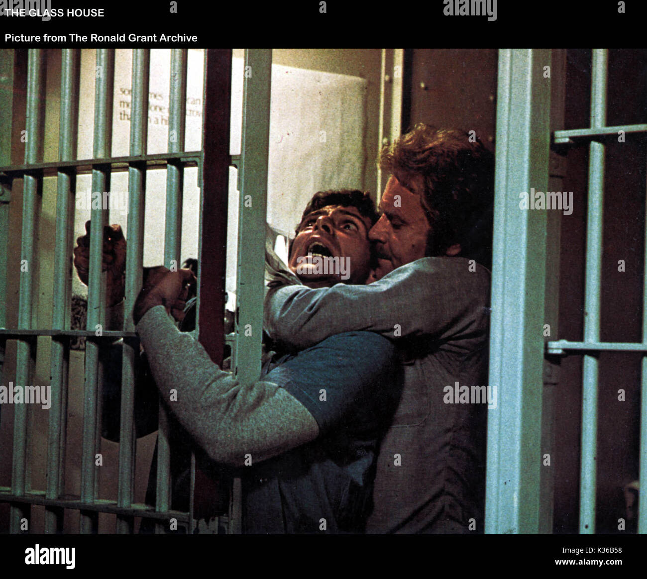 Das GLAS HAUS VIC MORROW Datum: 2001 Stockfoto