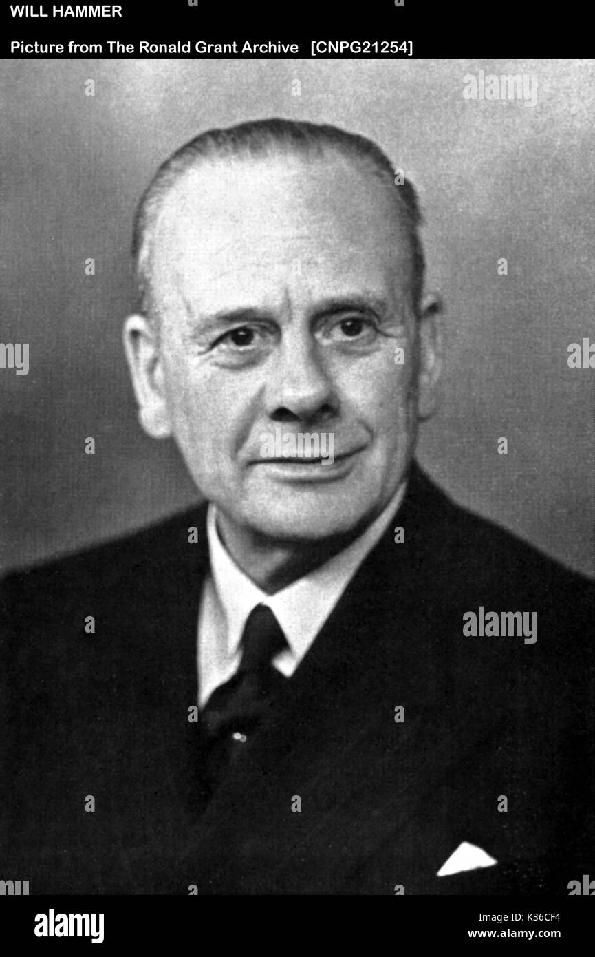 Wird HAMMER Stockfoto