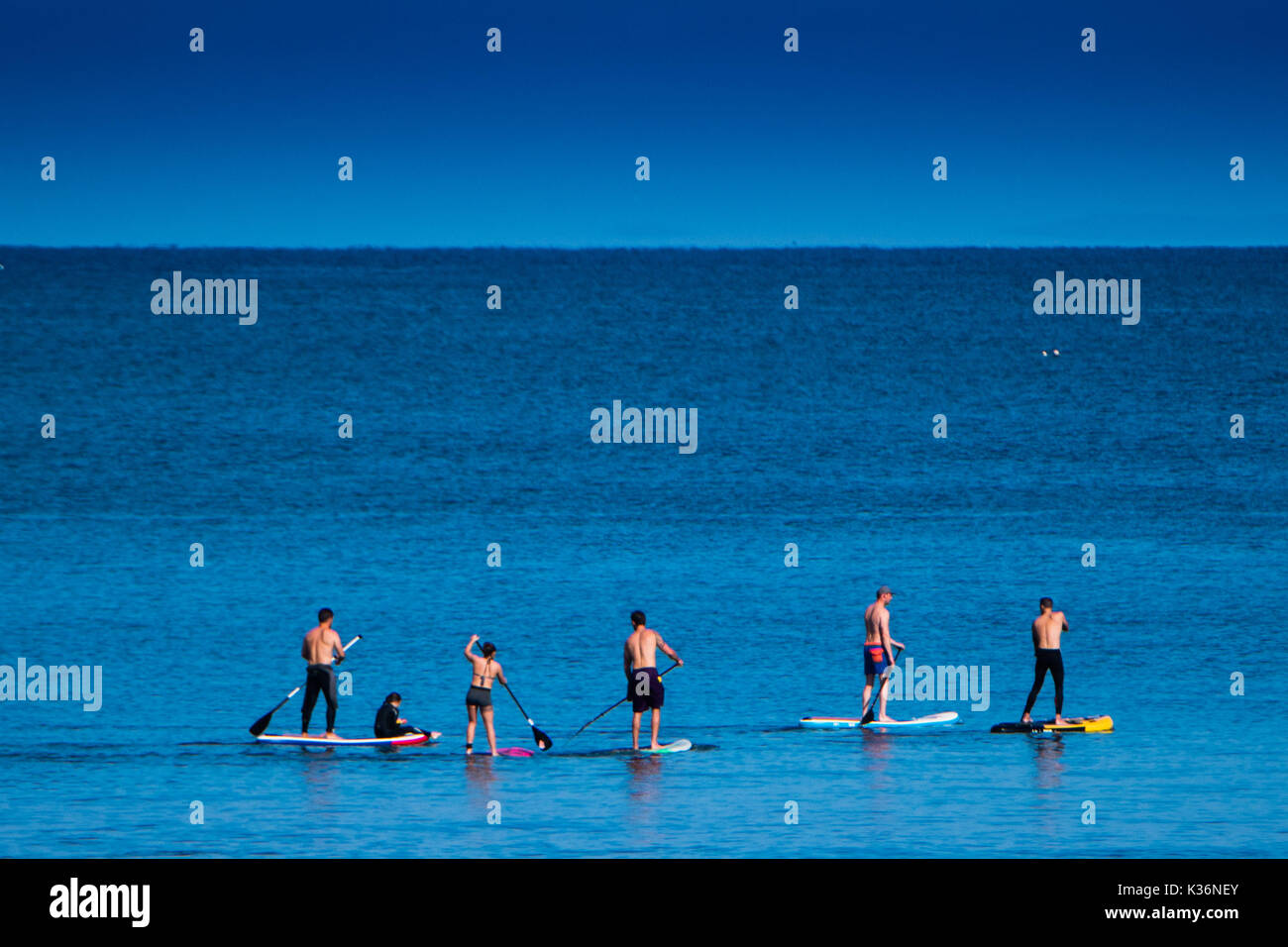 Aberystwyth Wales UK, Samstag, 02. September 2017 UK Wetter - auf einem hellen, sonnigen und warmen September Morgen eine Gruppe von Freunden gehen paddleboarding auf dem ruhigen Meer aus Aberystwyth Wales. Das Wetter ist, sich über Nacht zu ändern, drehen bedeckt mit einer Band von Regen in Schwungvollen aus dem Westen Foto: Keith Morris/Alamy leben Nachrichten Stockfoto