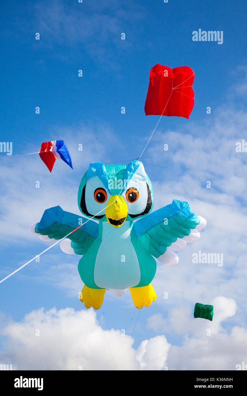 Lytham St Annes, Blackpool, 2. September, 2017. St. Anne's Kite bird Festival. Der Himmel über Saint Annes on Sea, direkt am Meer, Waren überschwemmt mit Farbe wie fabelhaft grossen Drachen in der Luft auf den Strand in der Nähe der Pier. Die Veranstaltung Single Line Kites in allen Formen und Größen, wie fliegen Eulen zusammen mit 2- und 4-line Lenkdrachen. Stockfoto