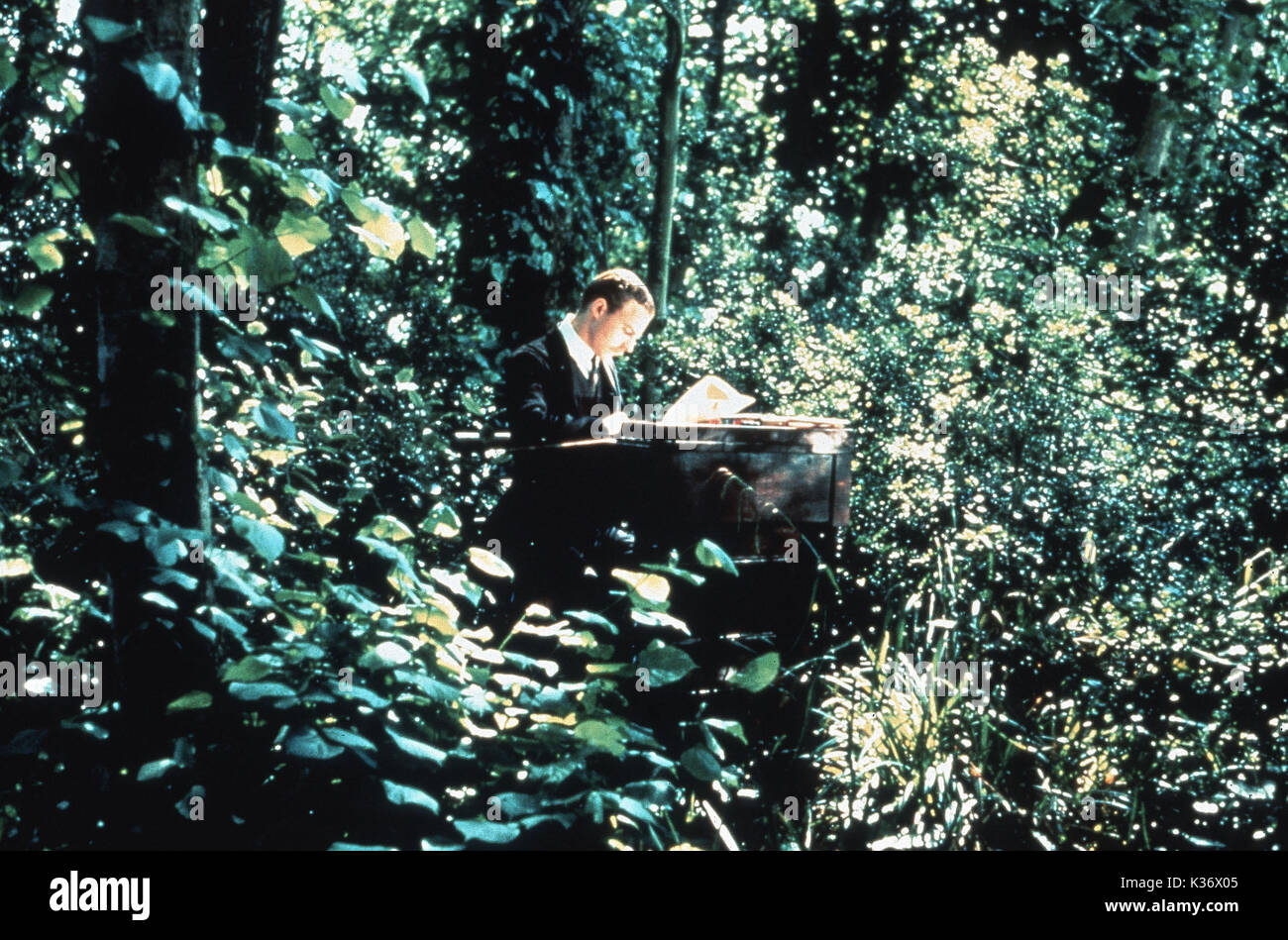 HOWARDS END SAM WEST MERCHANT IVORY PRODUKTION Datum: 1992 Stockfoto