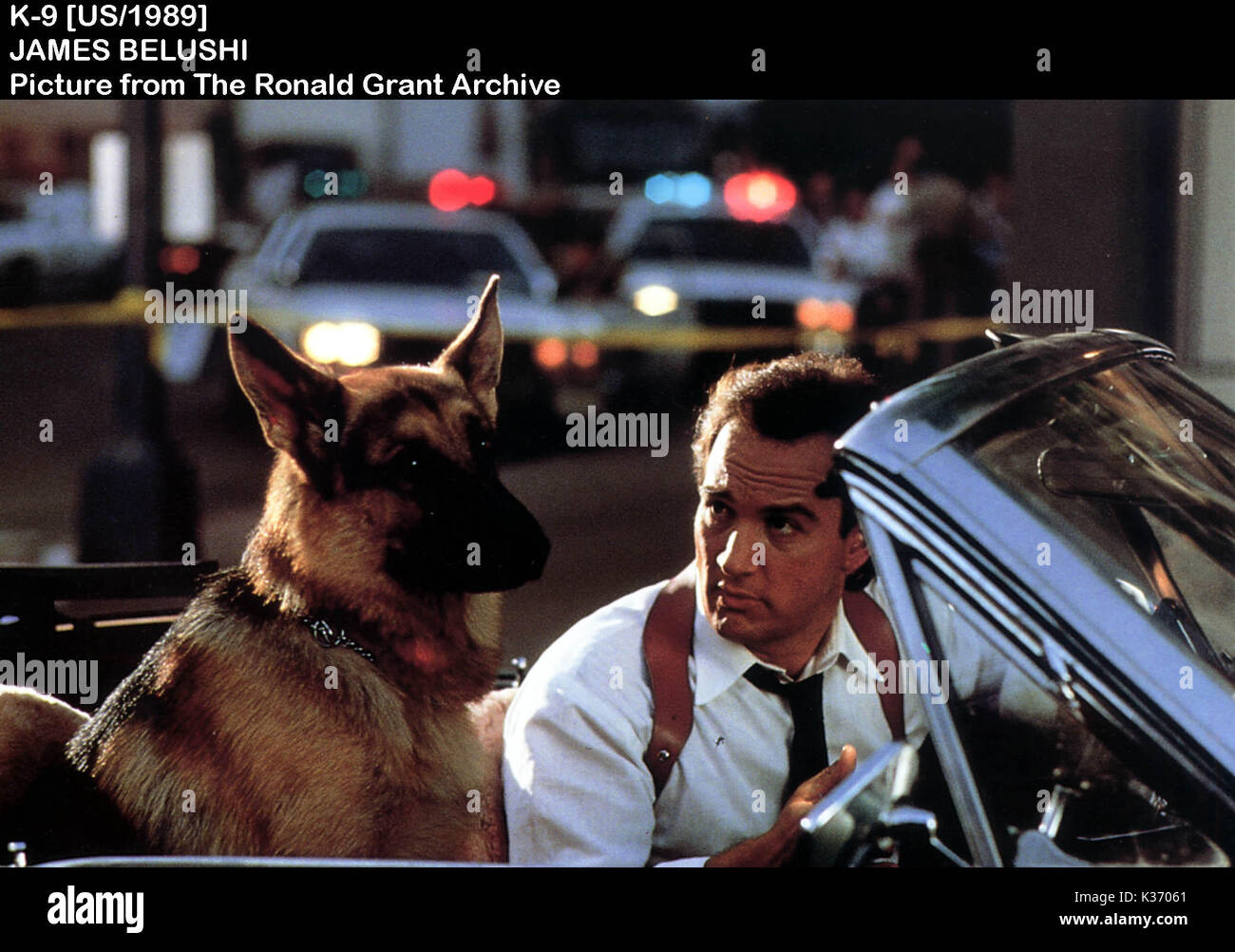 K-9 JAMES BELUSHI Datum: 1989 Stockfoto