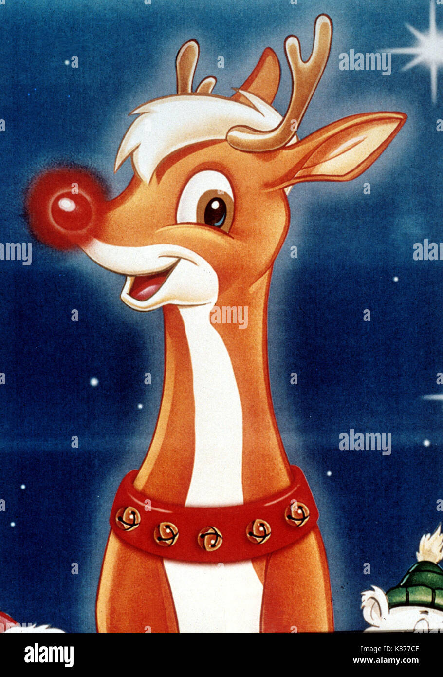 Rudolph, das rentier mit der roten nase, sitzt auf einem weißen  hintergrund.