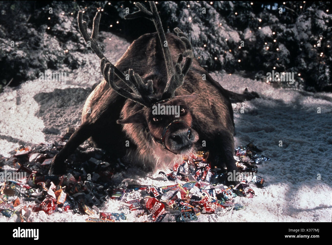 Die SANTA CLAUSE 2 BOXING CAT FILME/OUTLAW PRODUCTIONS / WALT DISNEY PICTURES Datum: 2002 Stockfoto