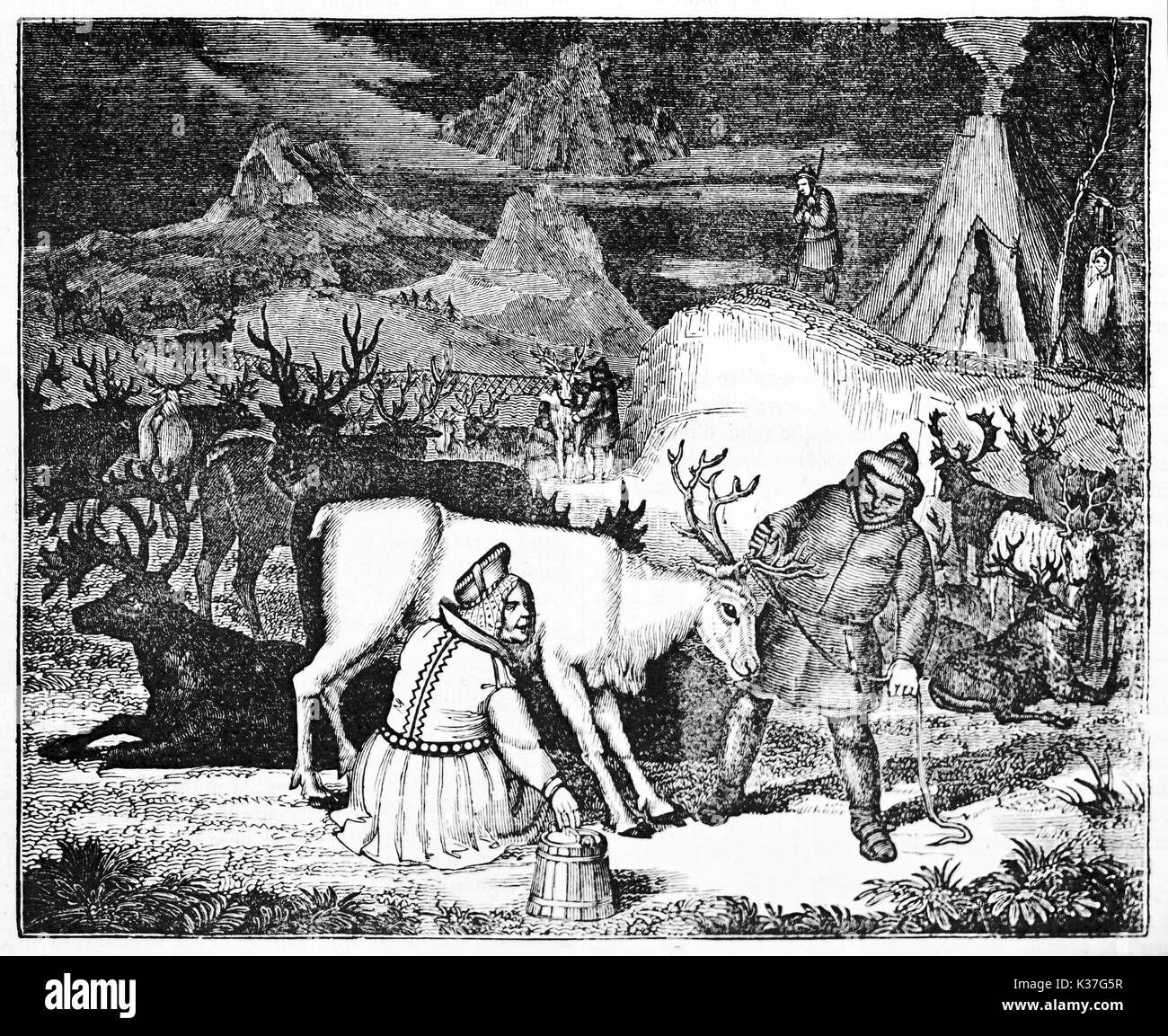 Alten Hirten melken ein Rentier in einem Rentiere züchten. Alte Illustration von unbekannter Autor, auf Magasin Pittoresque, Paris, 1834 veröffentlicht. Stockfoto