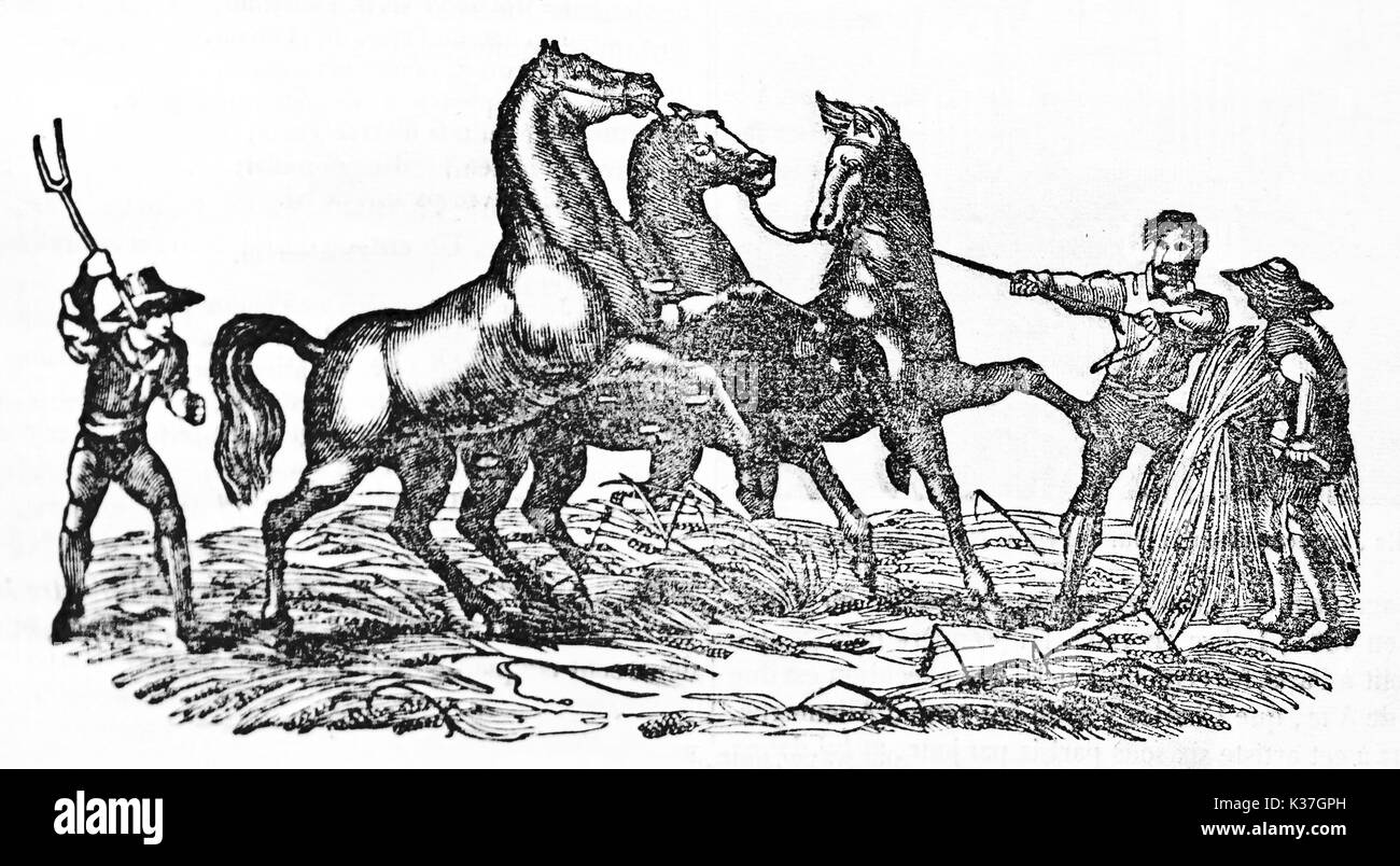 Alte Bauern zähmung Pferde für das Dreschen von Weizen. Alte Illustration von unbekannter Autor auf Magasin Pittoresque Paris 1834 veröffentlicht. Stockfoto