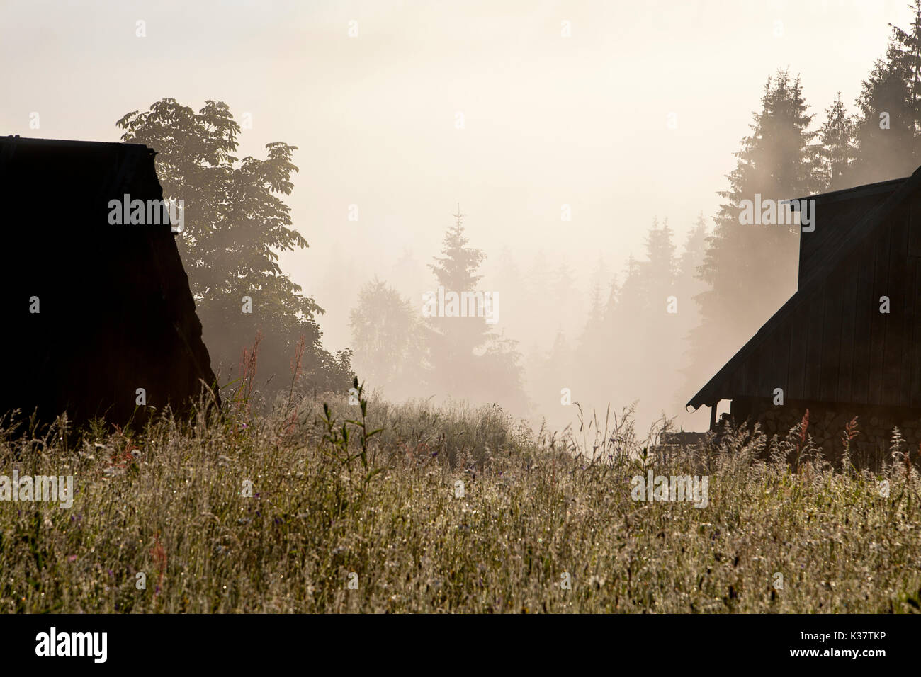 Am frühen Morgen Berglandschaft in der vorderen Beleuchtung, Silhouetten von Holzhäuser und taunassen Gras im Vordergrund, Wald und Berge in der Dee Stockfoto
