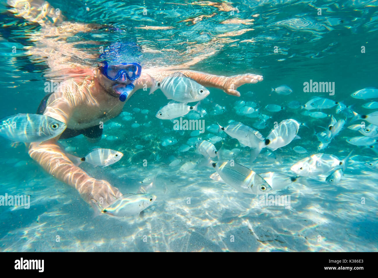Junger Mann Schnorcheln in Underwater Coral Reef auf der tropischen Insel. Stockfoto