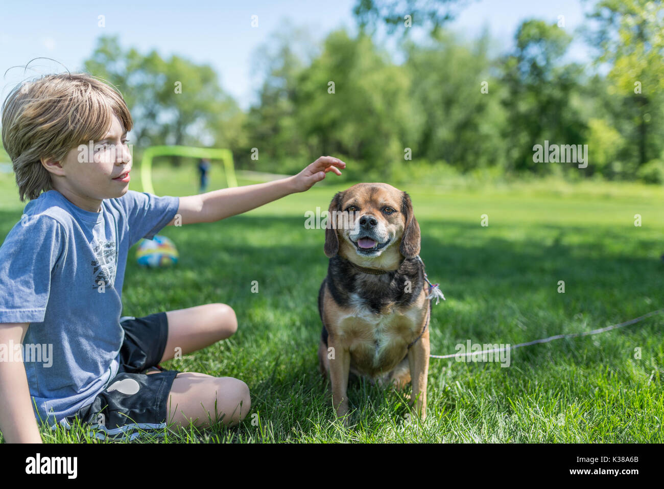 Junge und sein Hund Stockfoto