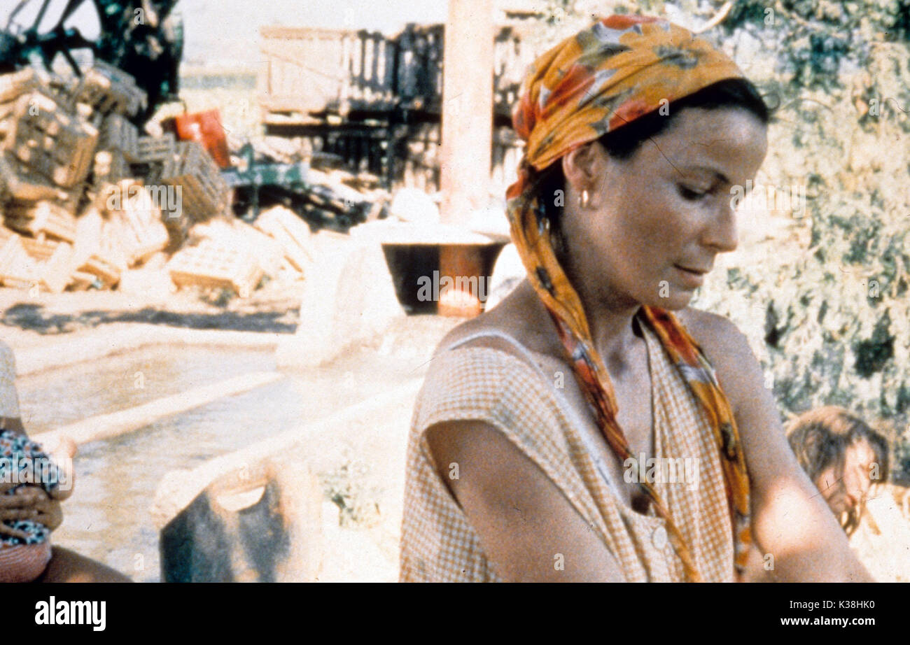 Y AURA-T-IL DE LA NEIGE A NOEL? [FR] [1996] aka wird es Schnee zu Weihnachten? DOMINIQUE REYMOND Datum: 1996 Stockfoto