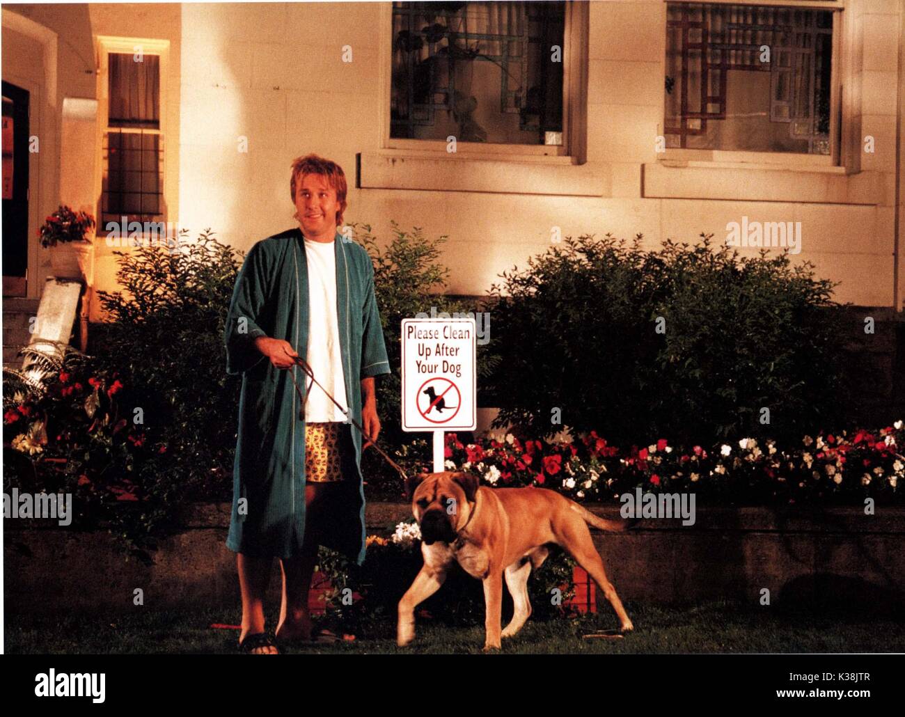 Schau DAVID ARQUETTE Datum: 2001 Stockfoto