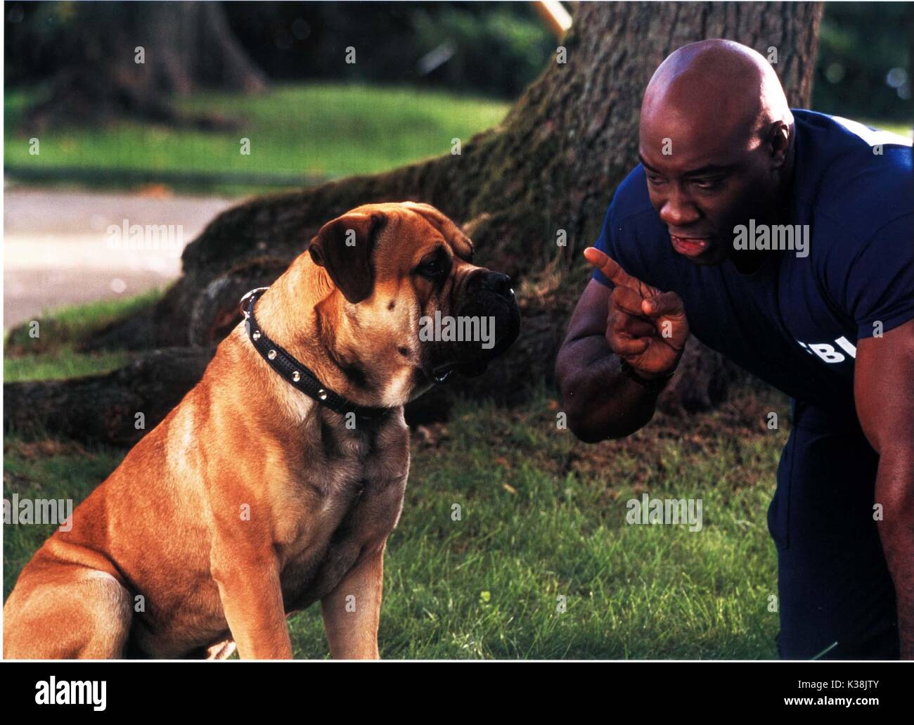 Schau mal MICHAEL CLARKE DUNCAN Datum: 2001 Stockfoto