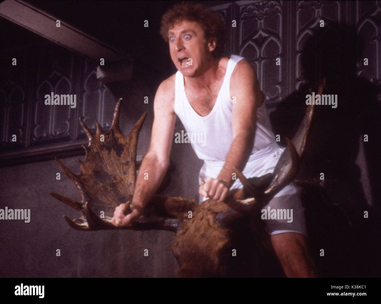 HAUNTED HONEYMOON GENE WILDER Datum: 1982 Stockfoto