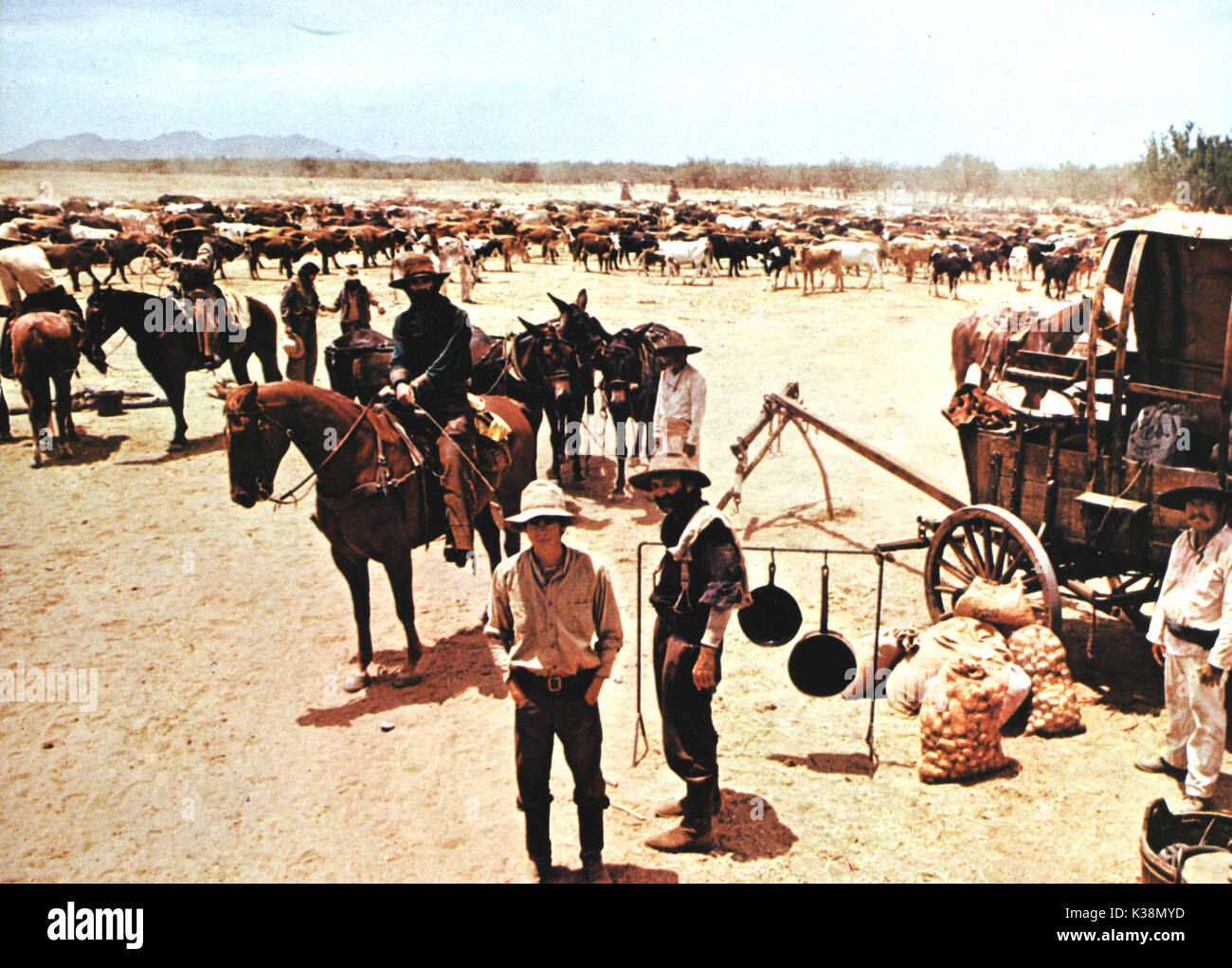 CULPEPPER CATTLE CO Datum: 1972 Stockfoto