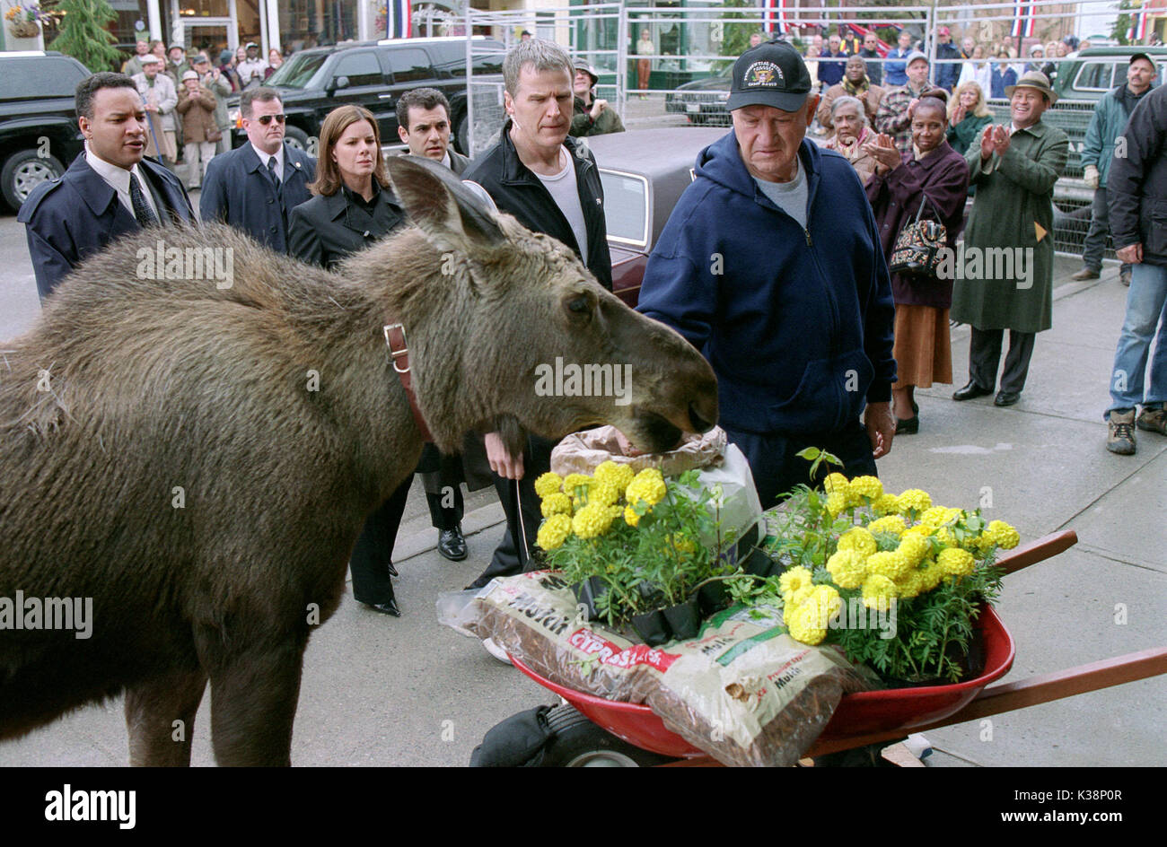 Willkommen in MOOSEPORT MARCIA GAY HARDEN, FRED SAVAGE, Gene Hackman Datum: 2004 Stockfoto