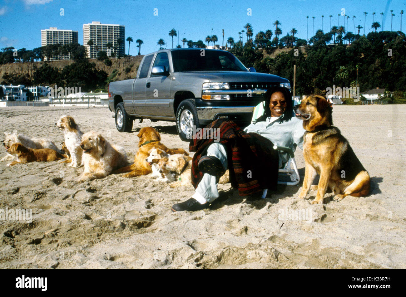 Mehr Hunde als Knochen Whoopi Goldberg Datum: 2000 Stockfoto