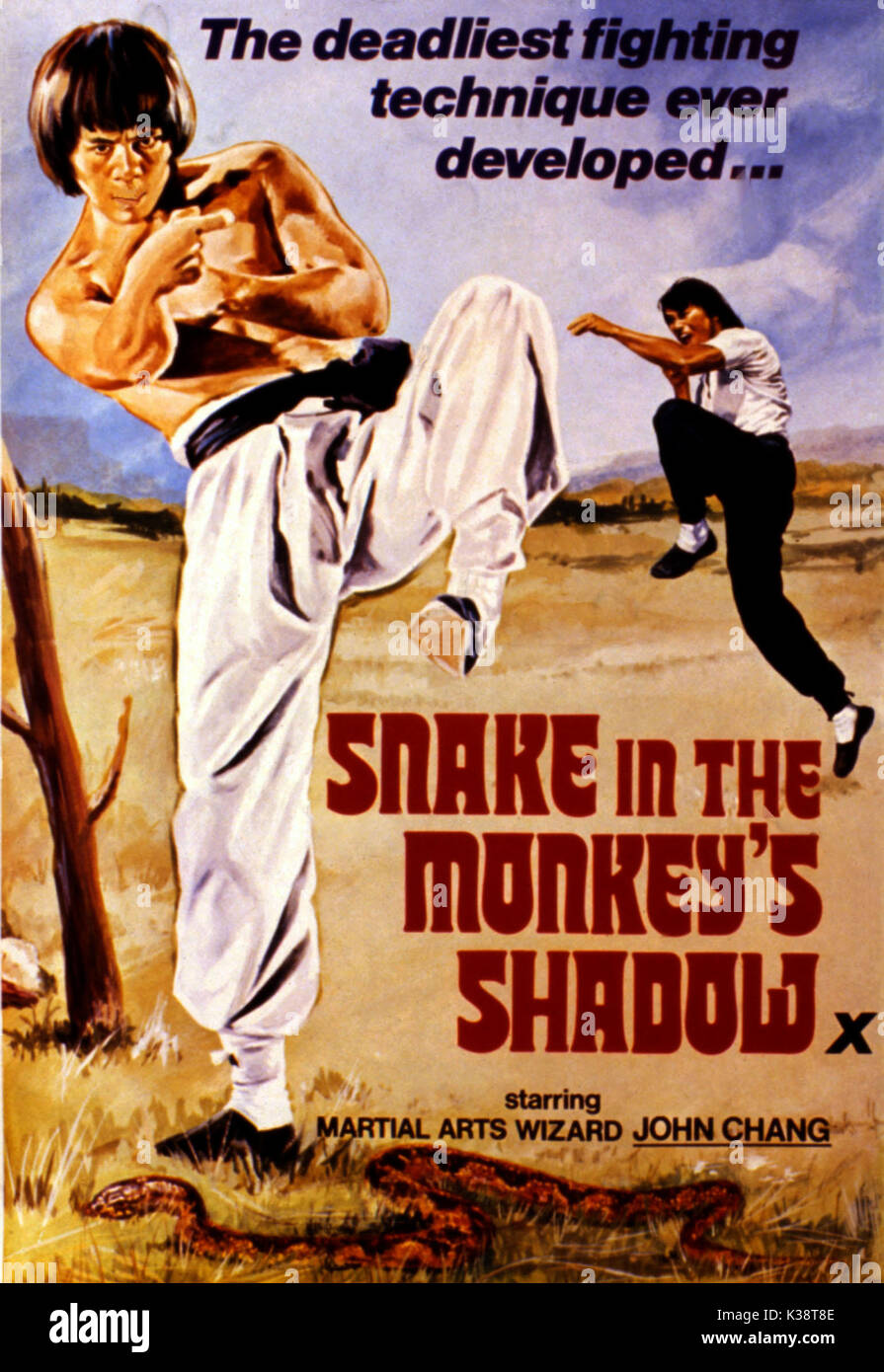Schlange IN DER AFFE SCHATTEN [HONG KONG 1979] Plakat SCHLANGE IM SCHATTEN [DER AFFE HK 1979] aka SNAKE FAUST VS. Der Drache Datum: 1979 Stockfoto