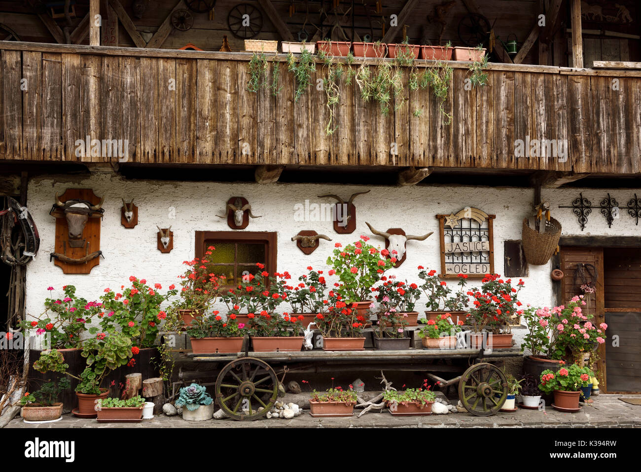 Dornk ausflug Bauernhof mit ethnologischen Sammlung im alten Stall bei Mlino Mühle Dorf Bled Slowenien Stockfoto