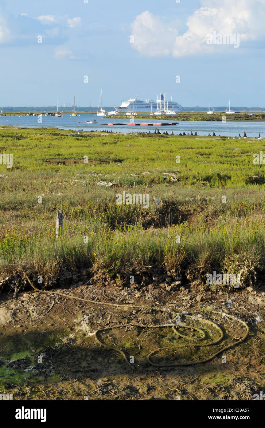 Ein grosses Kreuzfahrtschiff oder Schiff vorbei am Eingang zu Newtown Creek auf der Isle of Wight mit Schilf und Sumpf im Vordergrund in der Gezeiten- Mündung Stockfoto