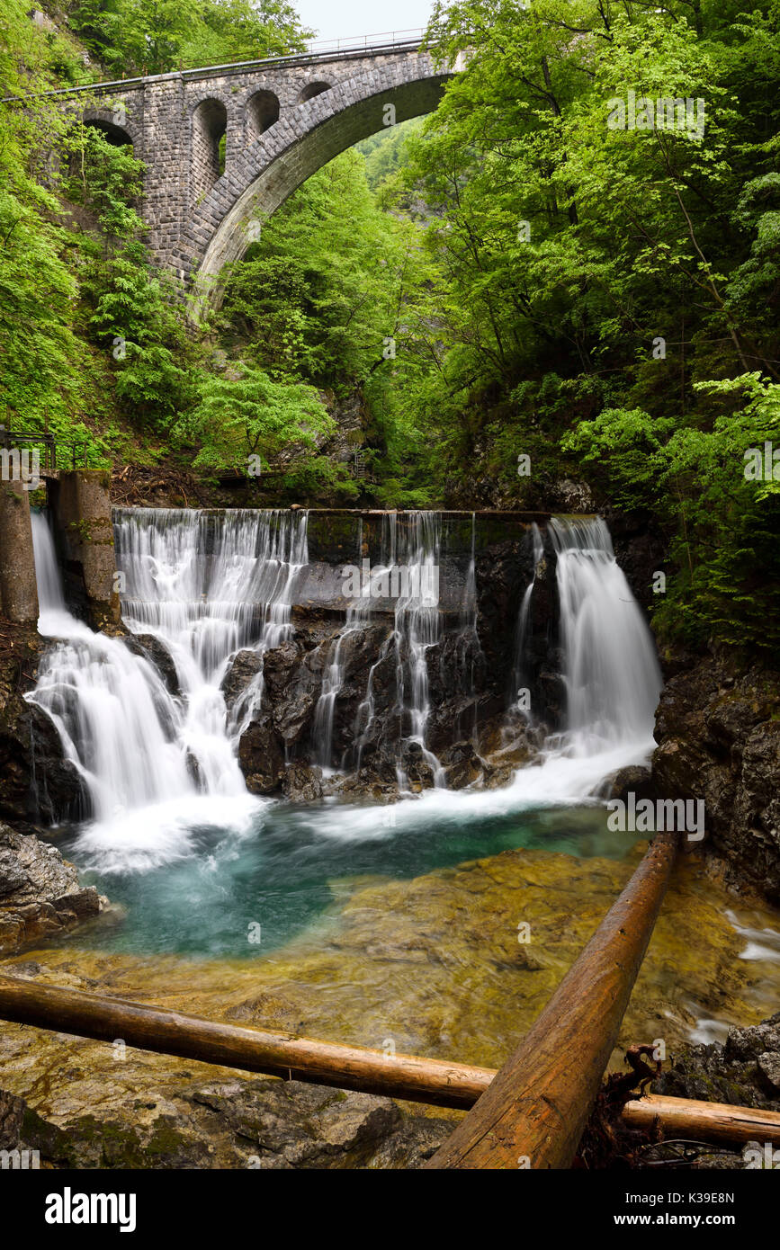 Einzigen bogen Brücke aus Stein für Bohinj Bahnhof über die radovna River Valley an der Schlucht Vintgar mit Logs und Wasserfällen im Dam Schleuse tor Slowenien Stockfoto