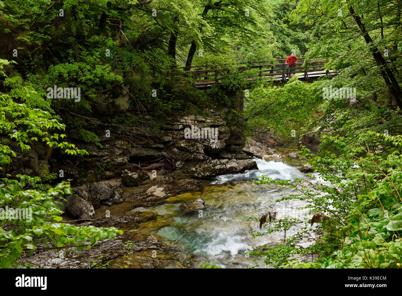 Besucher in rot auf Brücke über den laut Summe Wasserfall im grünen Frühling Wald am Ende der Schlucht Vintgar auf dem Fluss Radovna Slowenien Stockfoto