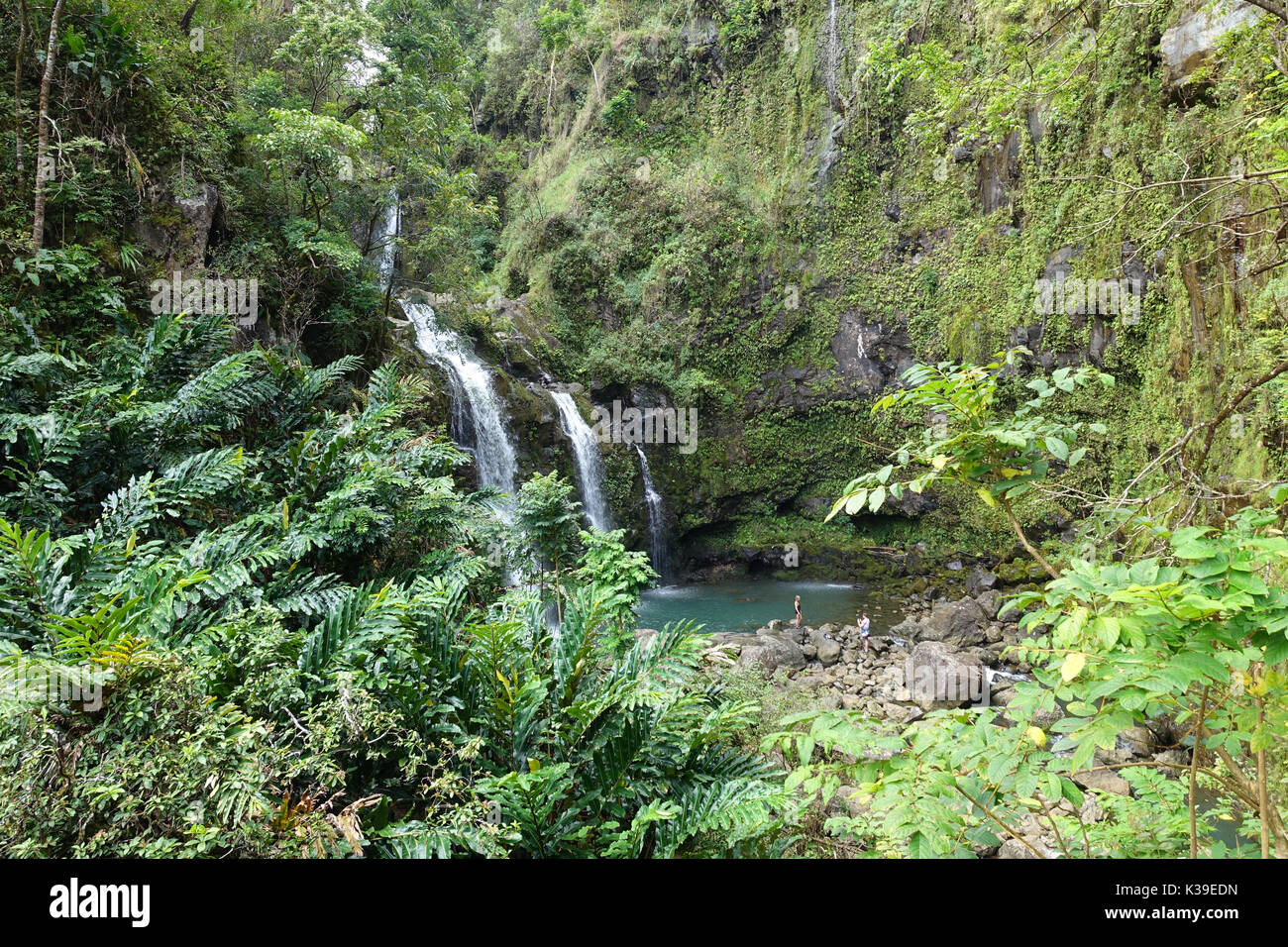 Die Strasse nach Hana erstreckt sich 68 Meilen zwischen Kahalui und die Stadt von Hana auf der Insel Maui, Hawaii. Stockfoto