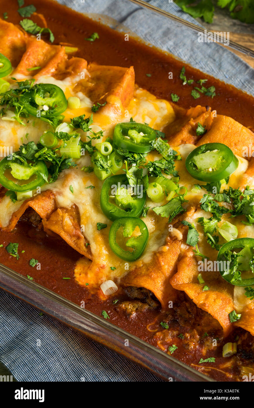 Hausgemachtes Rindfleisch Enchiladas mit einer roten Sauce und Koriander Stockfoto