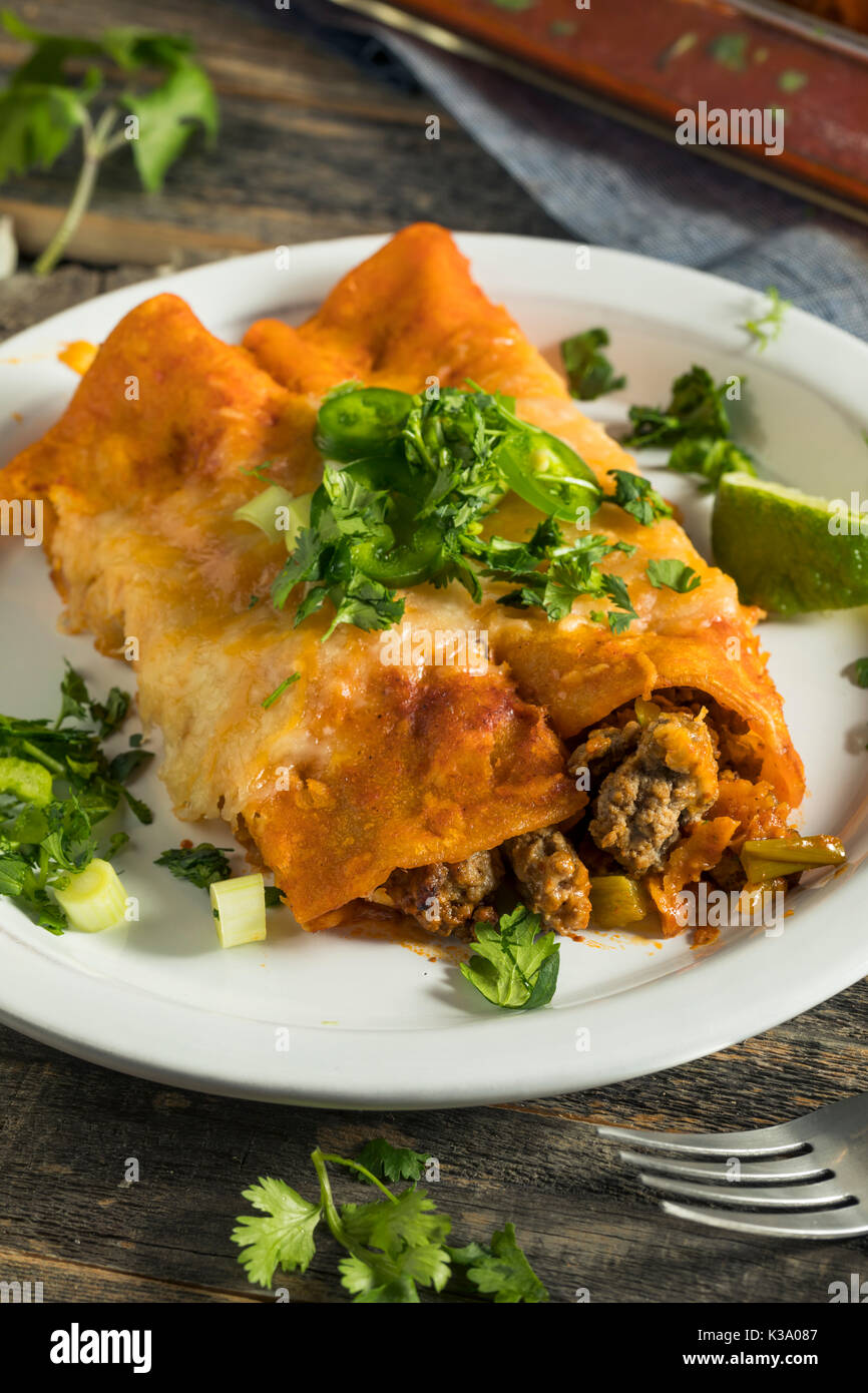 Hausgemachtes Rindfleisch Enchiladas mit einer roten Sauce und Koriander Stockfoto