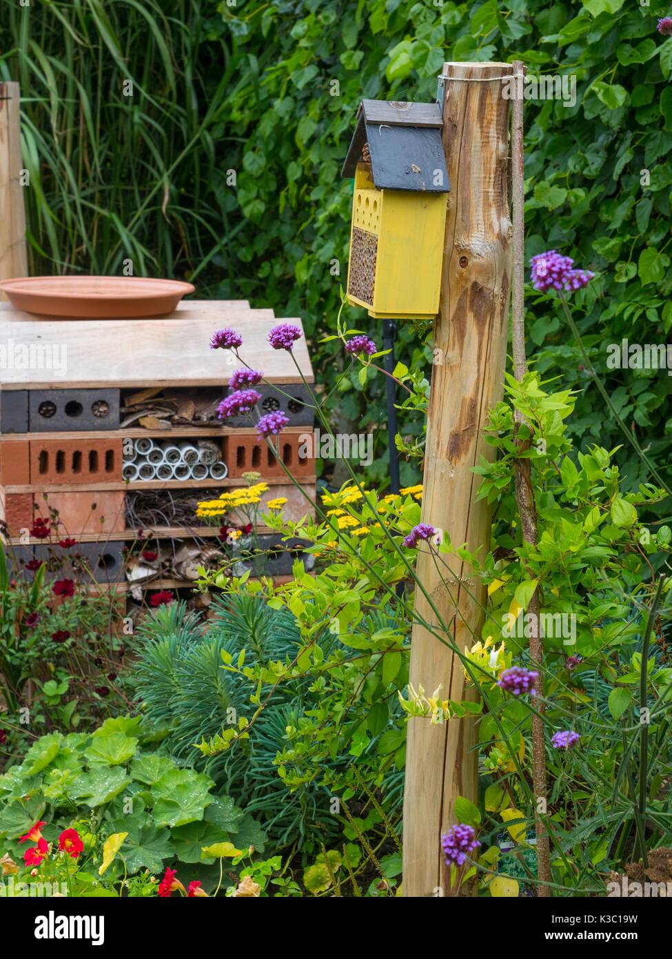 Garten bugbox und Bug Hotel Stockfoto