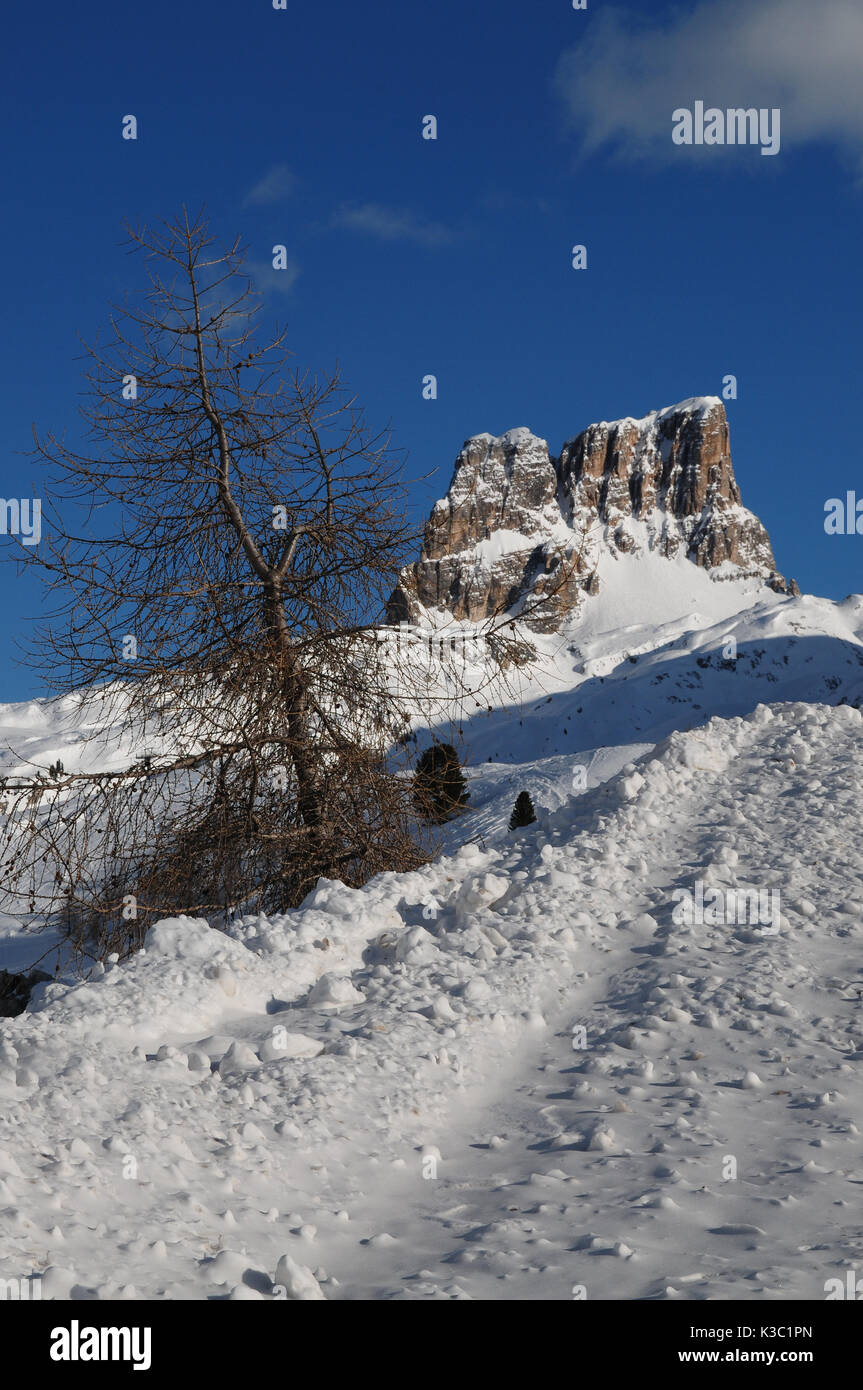 Monte averau im Winter, dem höchsten Berg des nuvolau Gruppe in den Dolomiten in der Provinz Belluno, Veneto, Italien Stockfoto