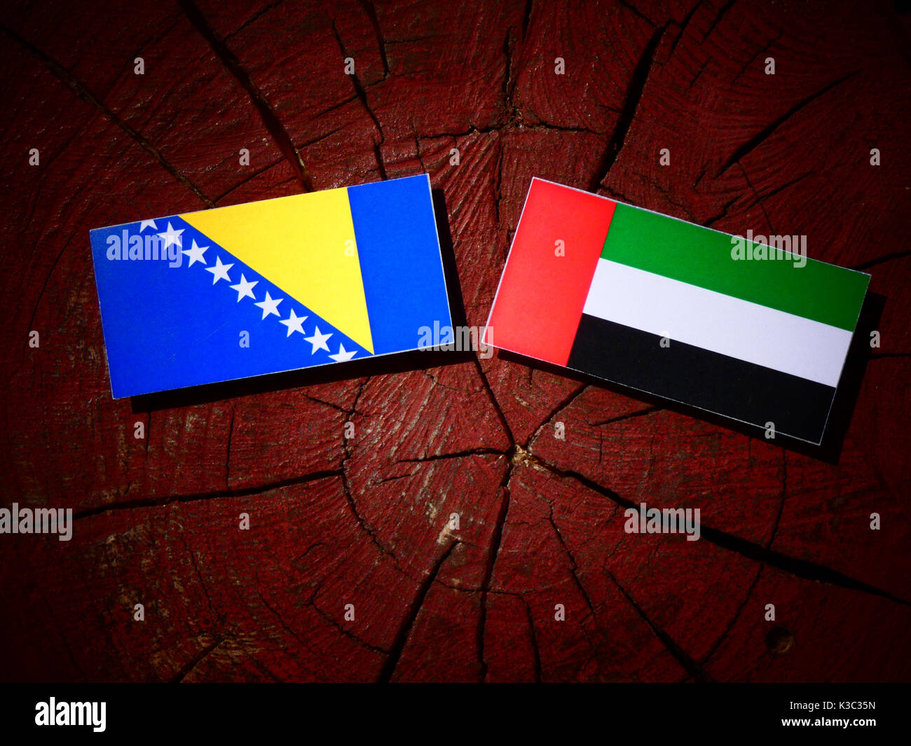 Bosnien und Herzegowina Flagge Flagge mit Vereinigten Arabischen Emirate auf einem Baumstumpf isoliert Stockfoto