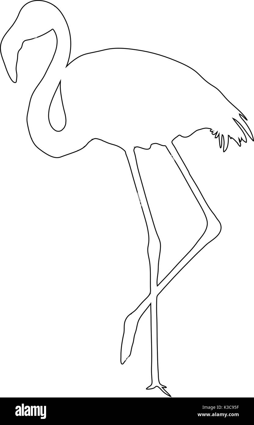 Umrisse einer afrikanischen Flamingo Stock Vektor