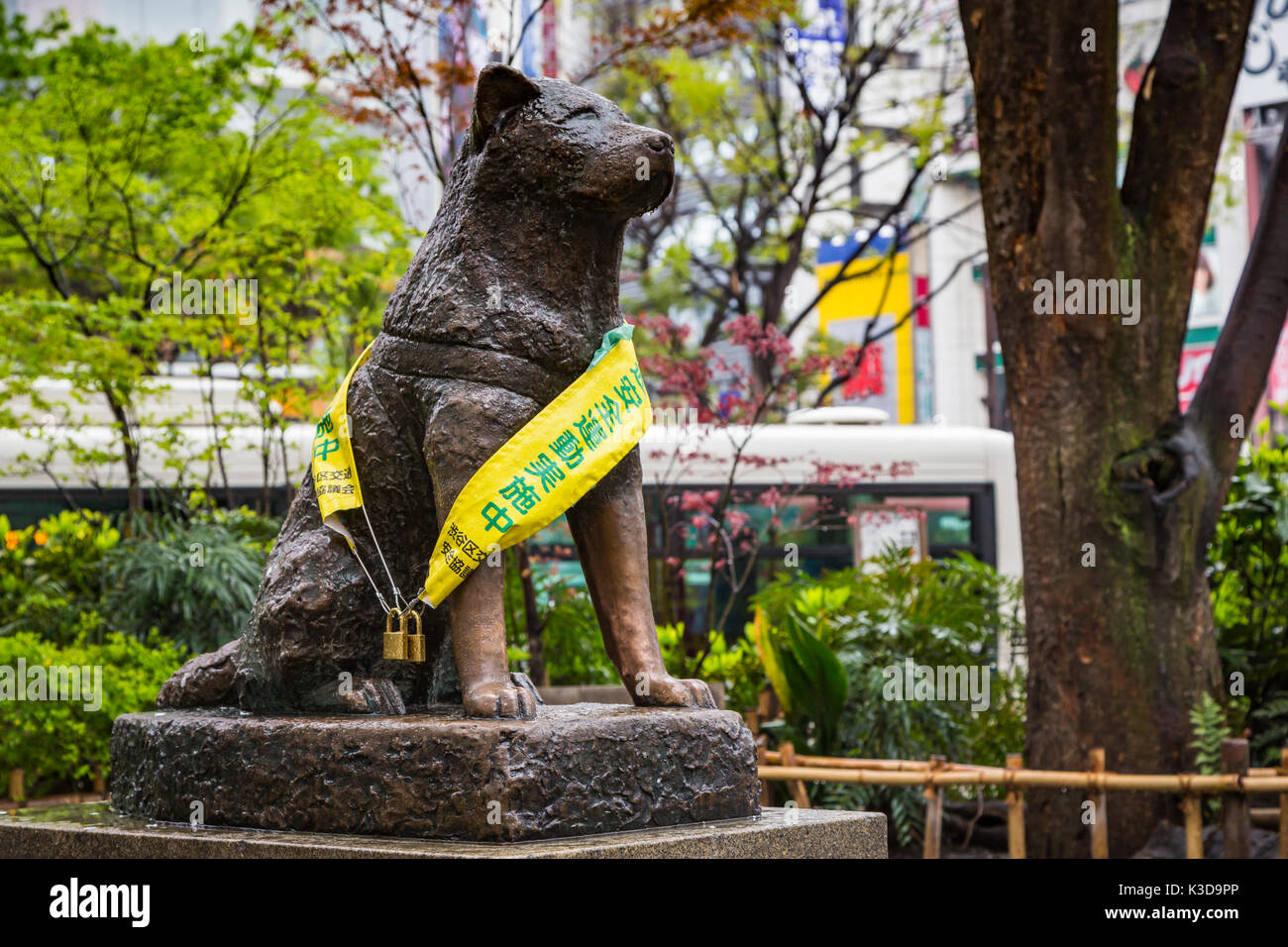 Die hachiko Hund Bronze Statue in der Nähe der Shibuya Bahnhof im Stadtteil Shibuya, Tokio, Japan, Asien. Stockfoto