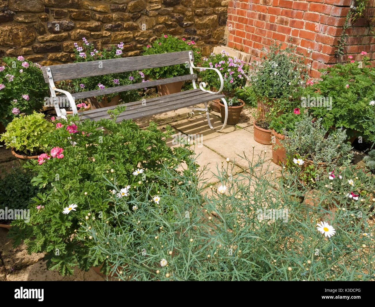 Kunstvolle garten Sitzbank und Topfpflanzen auf der kleinen Terrasse, slabbed Coton Manor Gardens, Northamptonshire, England, Großbritannien Stockfoto
